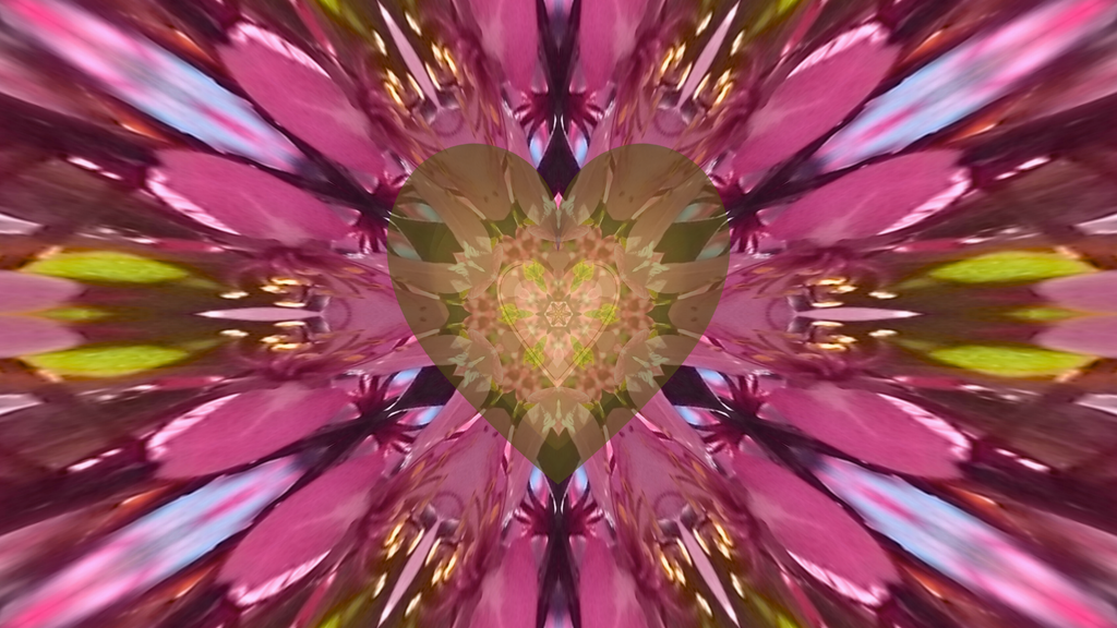 THANKS & Giving - Navigate Family Holidays without losing yourself! This Sunday, Nov. 16 7PM EST | AUS - Monday Nov. 17 11AM *see time zones below