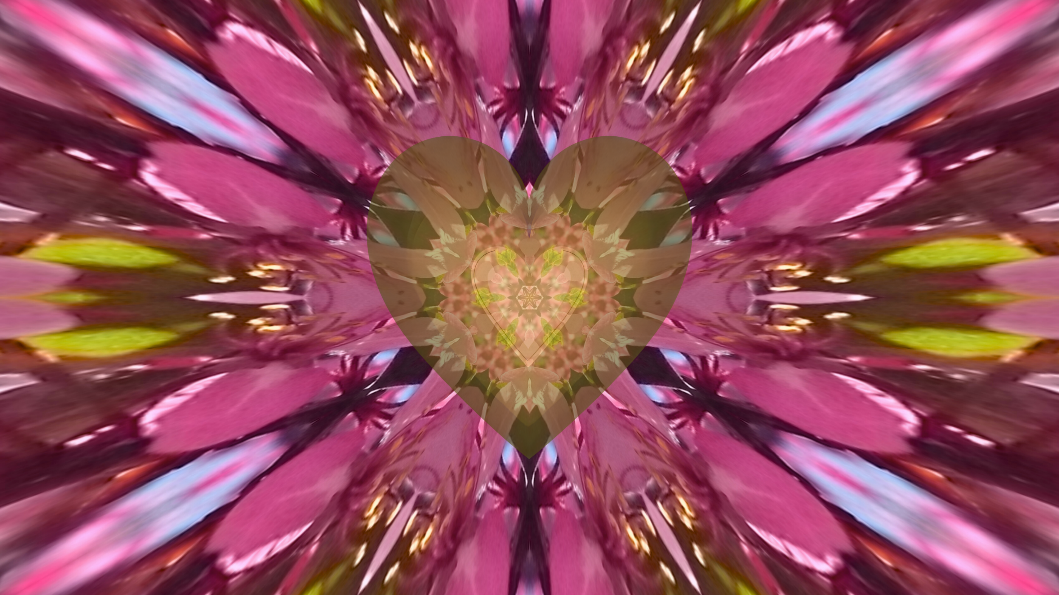 THANKS & Giving - Navigate Family Holidays without losing yourself! This Sunday, Nov. 16 7PM EST | AUS - Monday Nov. 17 11AM *see time zones below