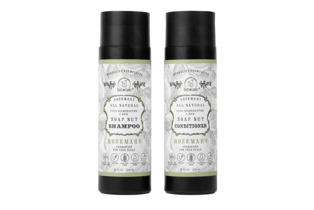 All Natural Soapnut Shampoo and Conditioner Set ROSEMARY- wild fermented probiotics for your scalp