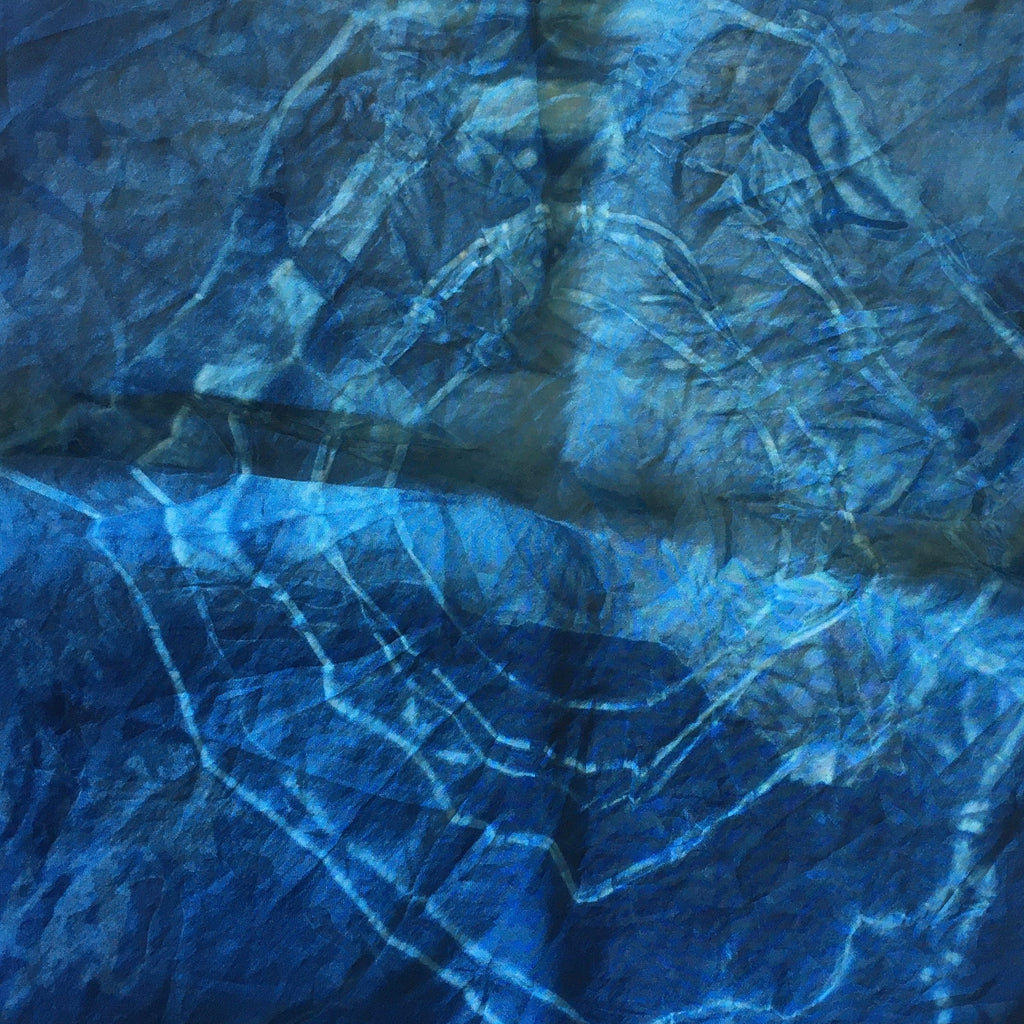 Indigo Dye Class at Marsh Hen Mill
