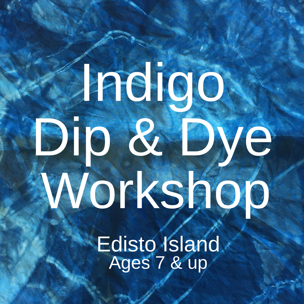 Indigo Dye Class at Marsh Hen Mill