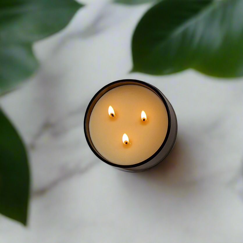 Rosemary + Lemon - Signature 3-Wick Candle