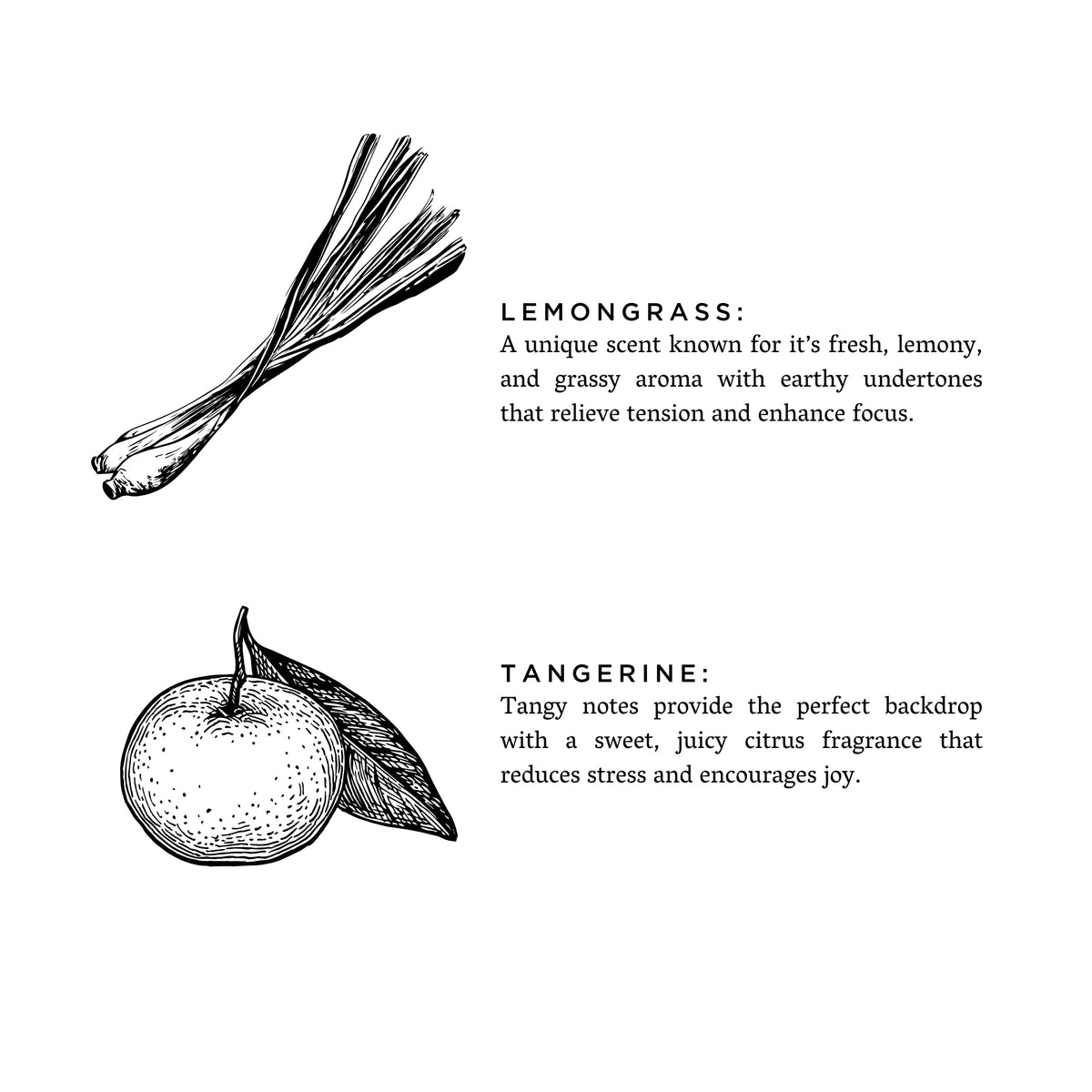 Lemongrass + Tangerine - Signature Candle