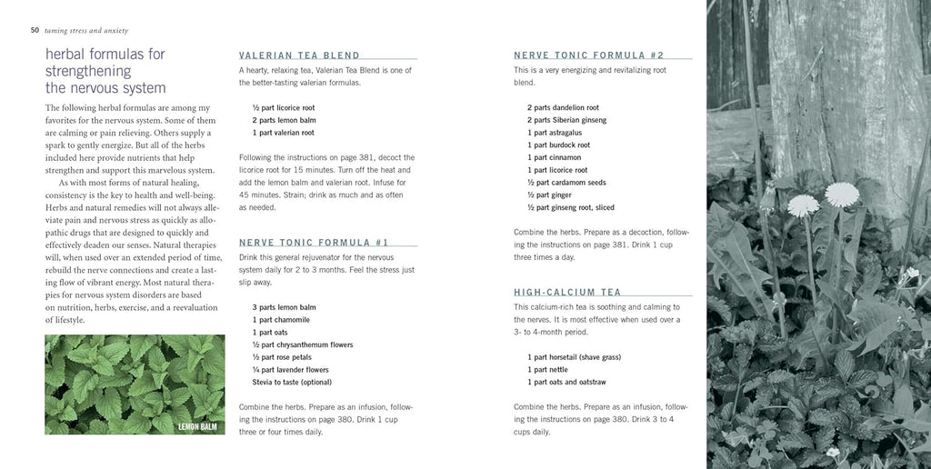 Rosemary Gladstar's Herbal Recipes for Vibrant Health: 175 Teas, Tonics, Oils, Salves, Tinctures, and Other Natural Remedies for the Entire Family (Spiral Bound)