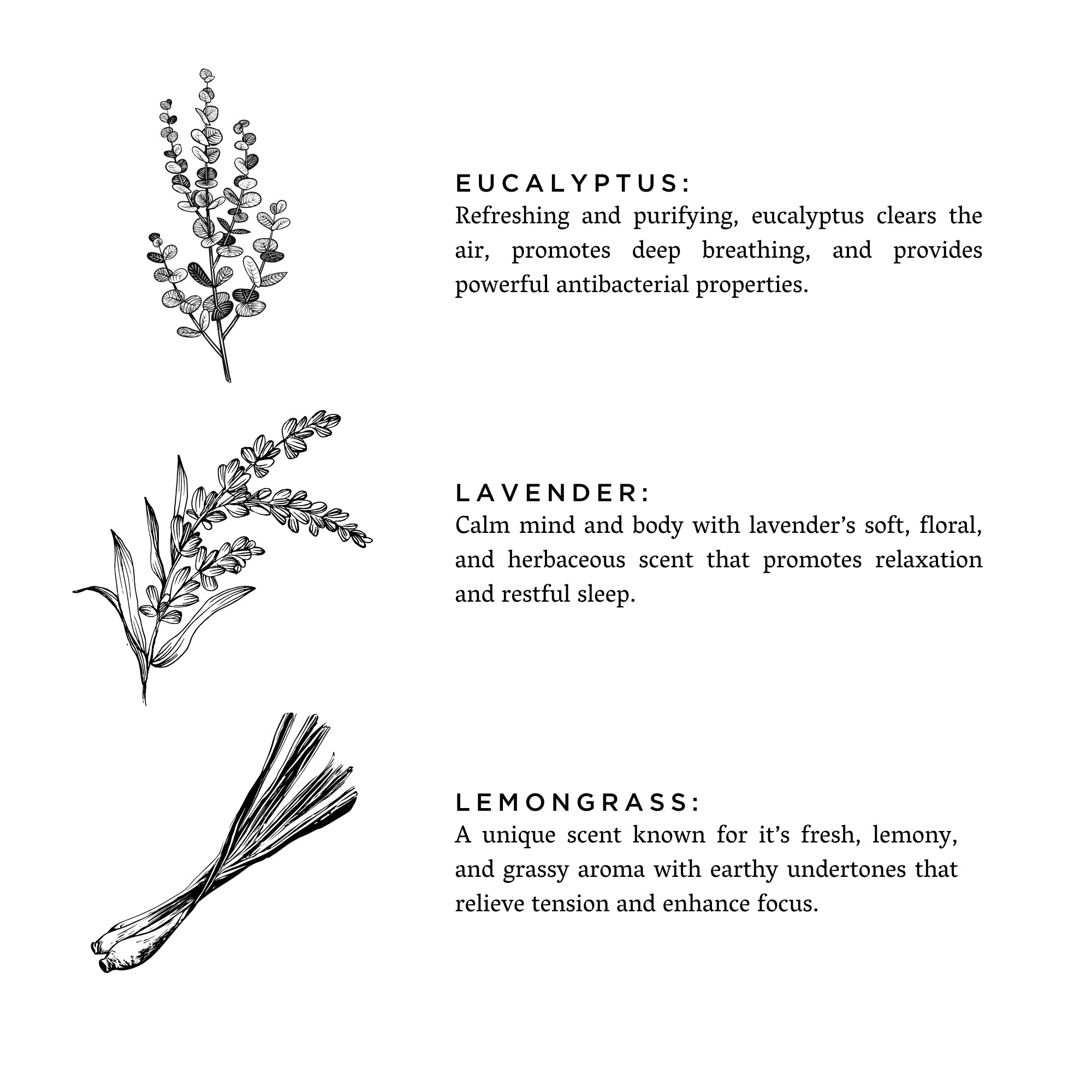 Shangri-La - Signature Candle (Eucalyptus + Lavender + Lemongrass)