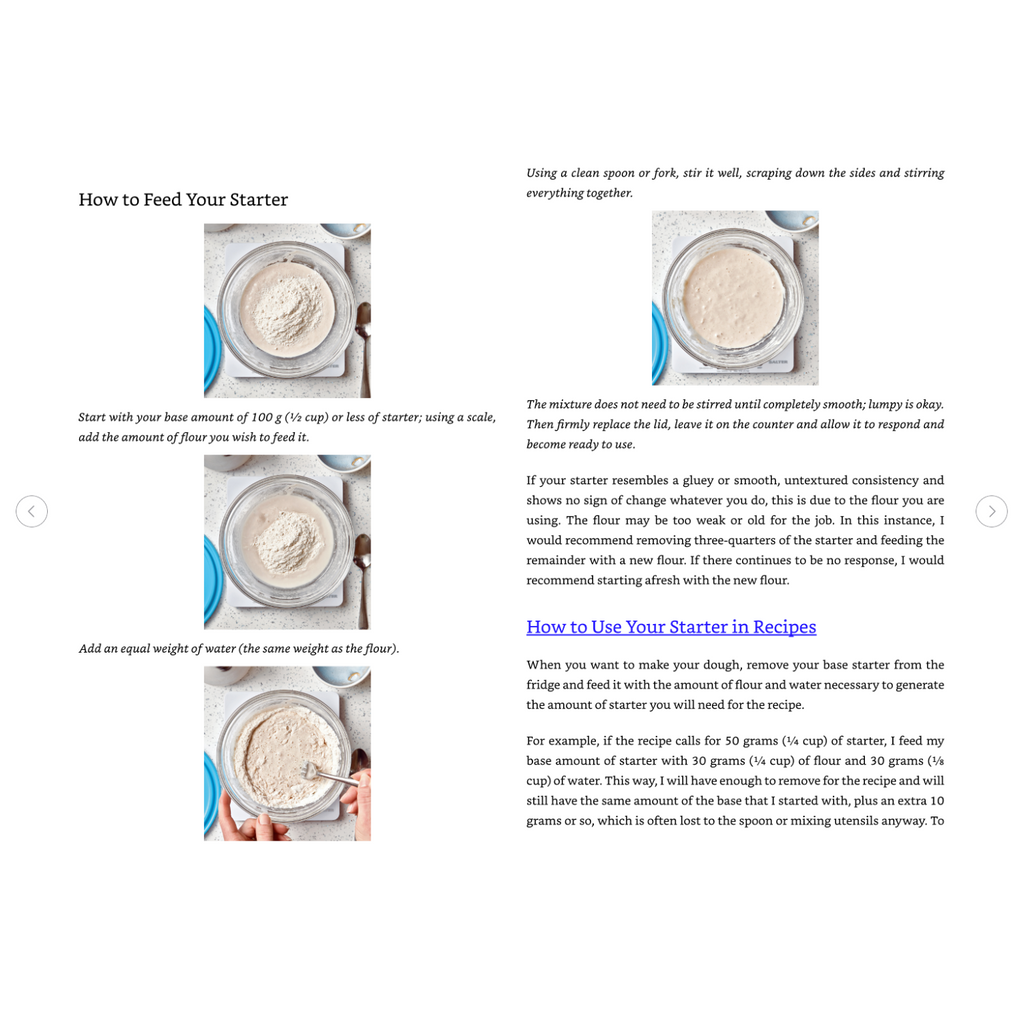 The Sourdough Whisperer (Spiral Bound)