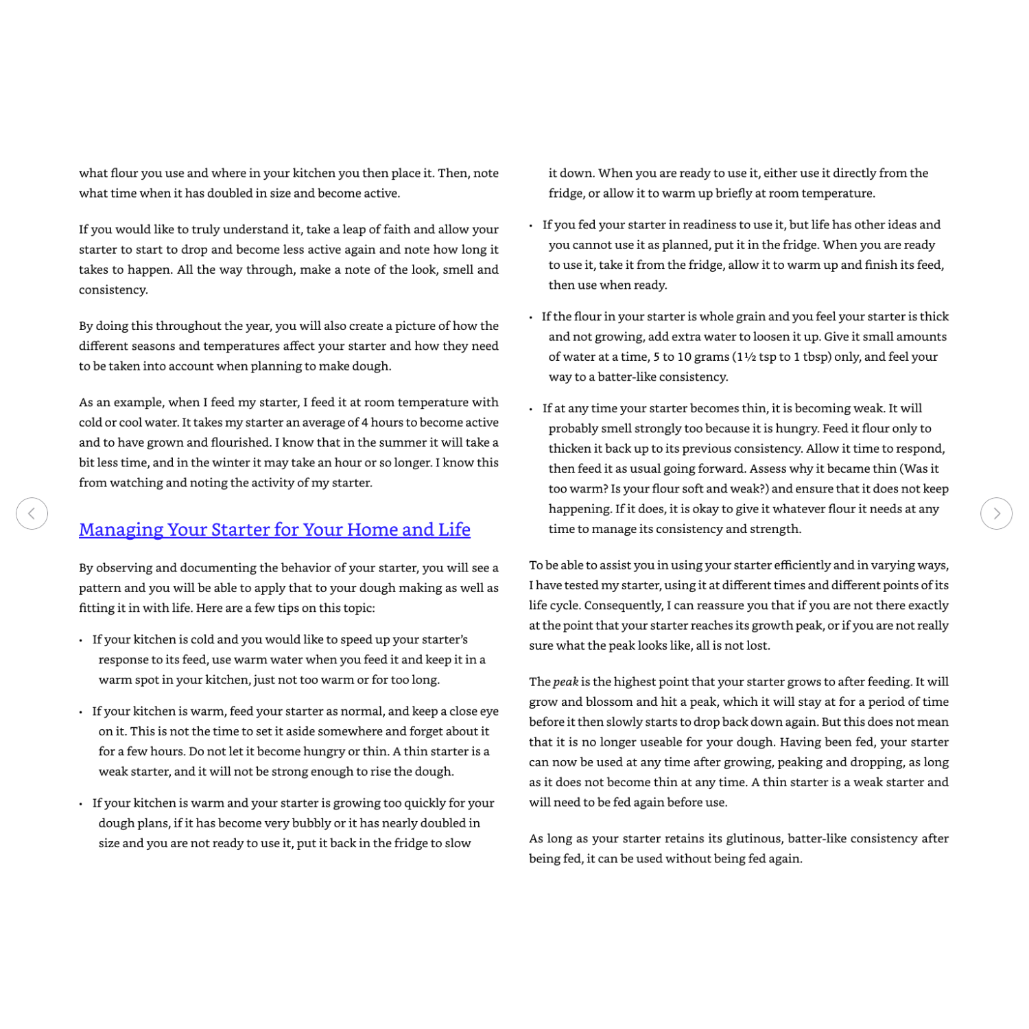 The Sourdough Whisperer (Spiral Bound)