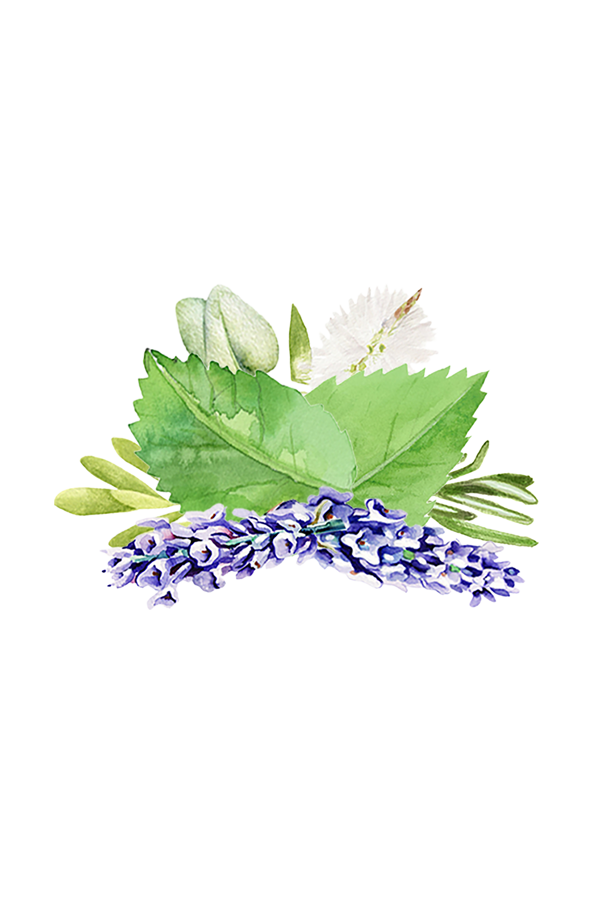 Aromatherapy Blend of Essential Oil