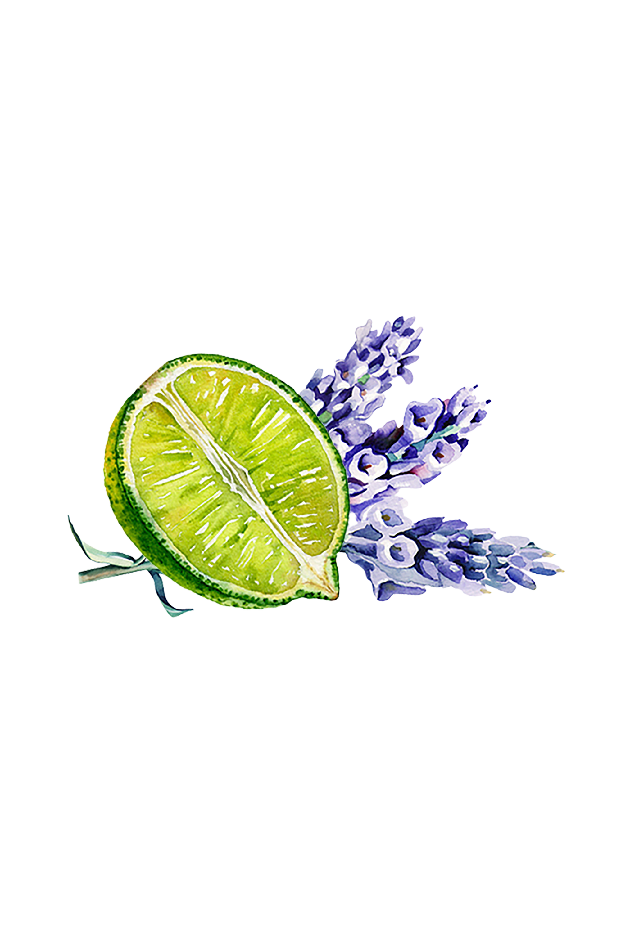 Epsom Salt Soak | Lavender & Lime