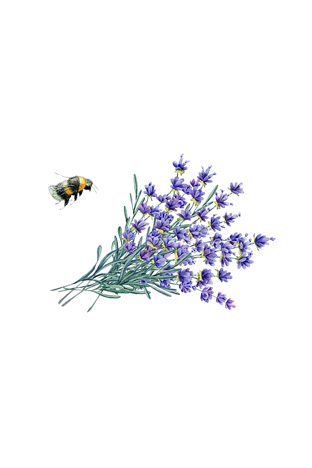 Hand Soap | Lavender Fields