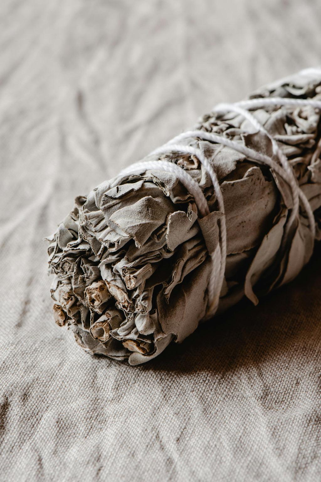 White Sage Smudge Stick | 4-inch