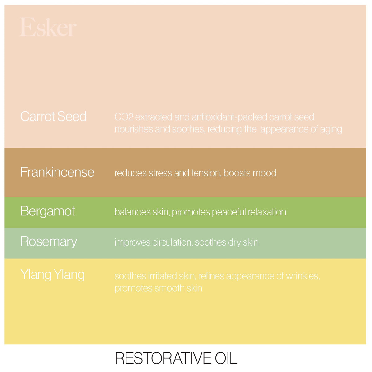Restorative Set